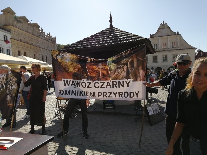 Kazimierz Dolny. Manifestacja na rzecz ochrony wąwozów Kazimierskiego Parku Krajobrazowego. Zobacz zdjęcia