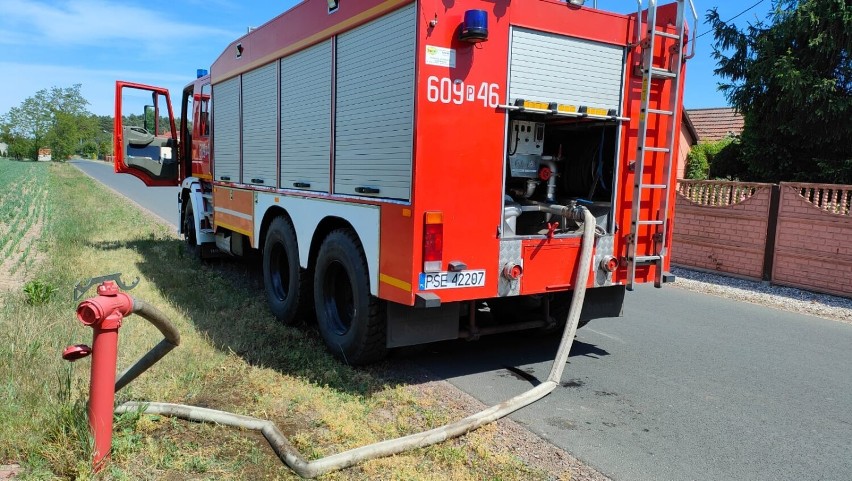 Książ Wielkopolski. Czarna seria w Zakrzewicach. Trzy pożary lasu w dwa dni