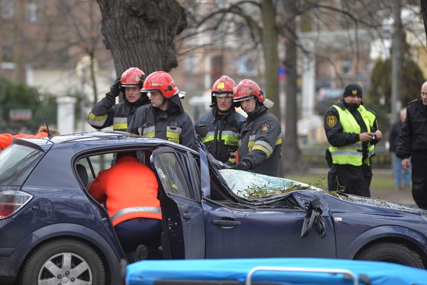 Wypadek na Alei Zwycięstwa w Gdańsku. Drzewo spadło na samochód [ZDJĘCIA]