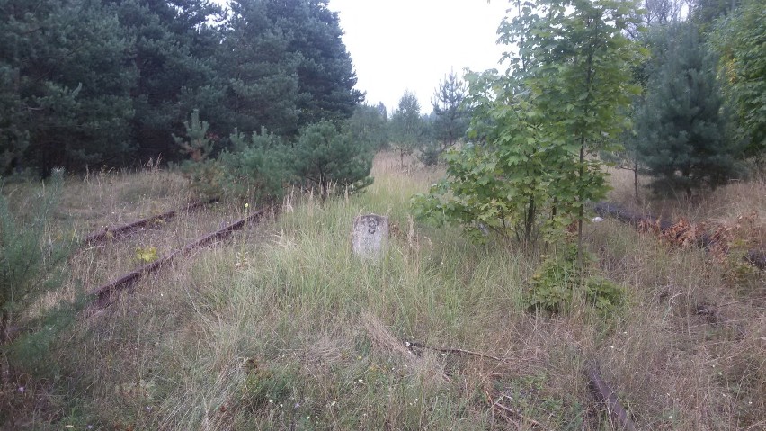 Tędy pojedzie kolej na lotnisko. Tak stacje w Mierzęcicach i Siewierzu wyglądają teraz ZDJĘCIA