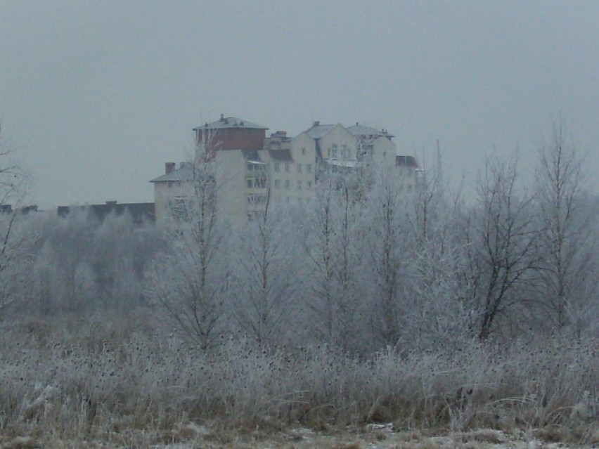 W tle łódzkie osiedle Janów. Fot. Adrian Starczewski