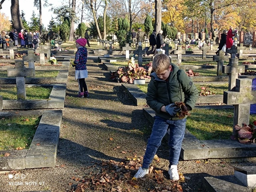 Akcja sprzątania cmentarza wojskowego w Piotrkowie,...