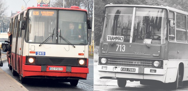 Pierwsze Ikarusy pojawiły się w Zagłębiu w 1978 roku. Można je spotkać do dziś, kursując m.in. linią 635