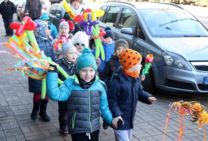 Przedszkolaki przywitały wiosnę w Szczecinie. Był korowód i topienie Marzanny [ZDJĘCIA, WIDEO]
