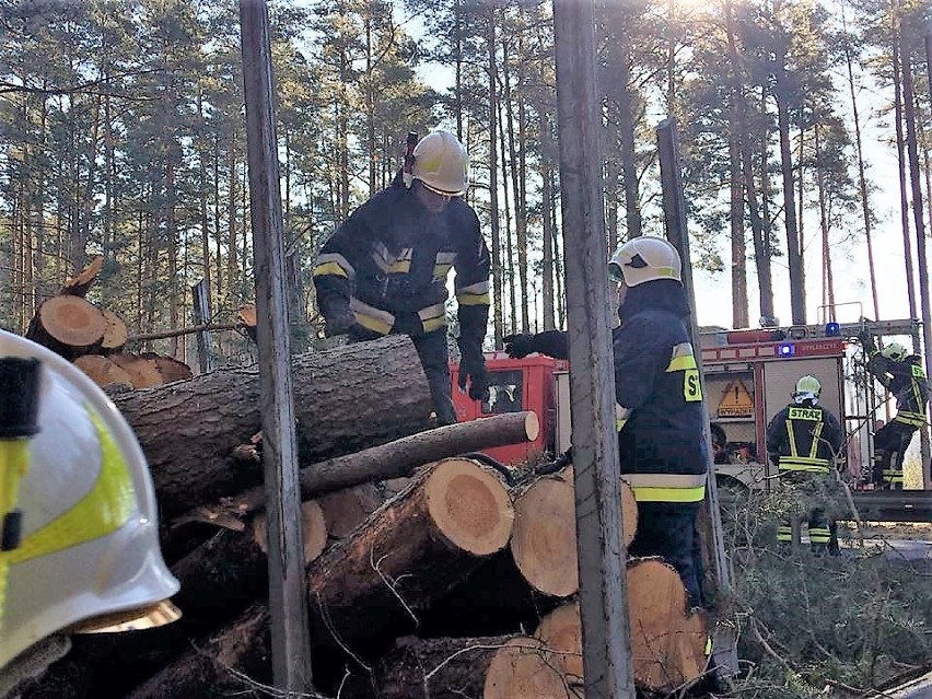 Samochód ciężarowy volvo przewrócił się na DK 22 koło Lędyczka [AKTUALIZACJA]