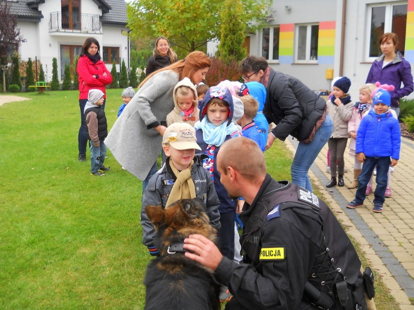 Bydgoszcz: Spotkania z czworonogim policjantem [ZDJĘCIA]