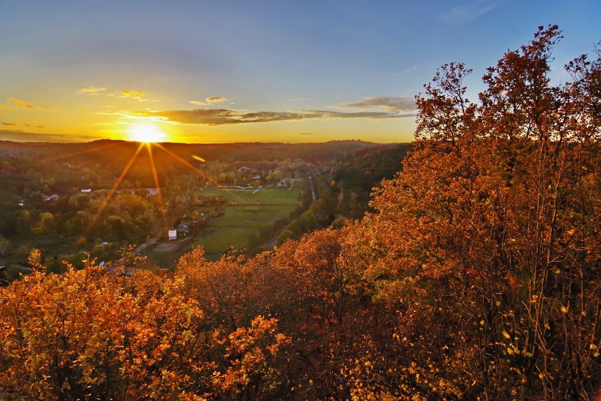 Oliwa, jesień