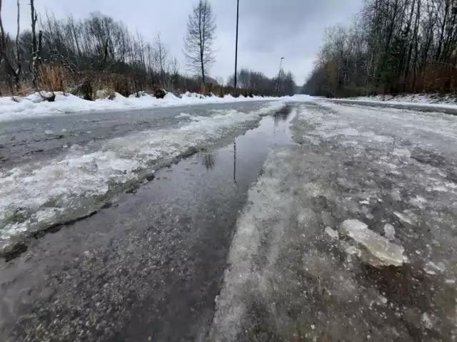 Rozlewisko w Dolinie Trzech Stawów