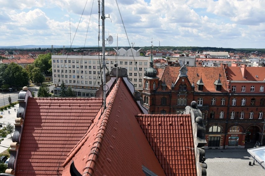 Tak wygląda Legnica widziana z dachu ratusza [ZDJĘCIA] 