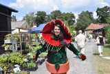 Festiwal Roślin Owadożernych w legnickiej palmiarni [ZDJĘCIA]