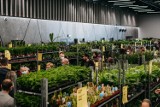 Akcja „Rośliny dla Ukrainy”. Największy targ roślin już jutro w Bielsku-Białej!
