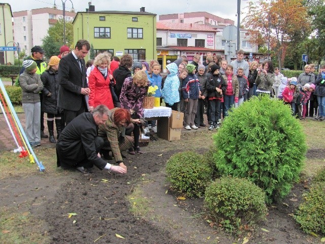 Myszków: Posadzili żonkile na Polach Nadziei