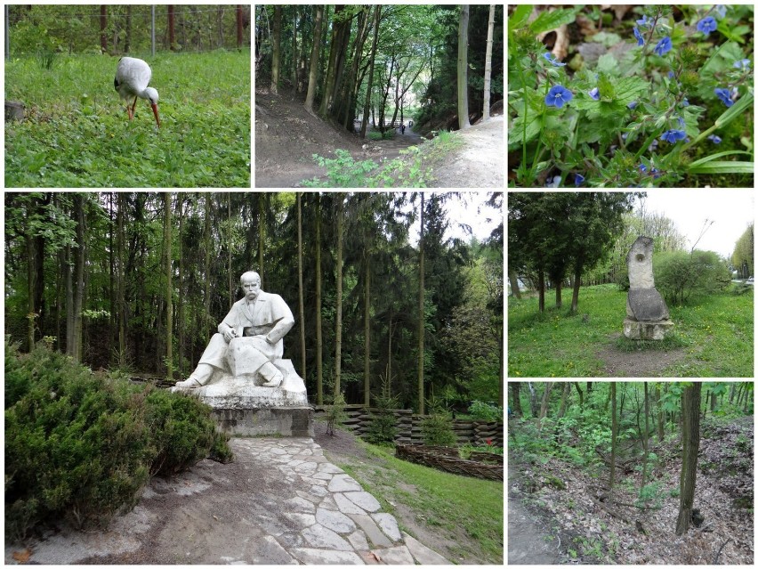 Miejscowy pomnik Tarasa Szewczenki oraz kilka parkowych...