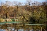 Kolejny nowy park w Katowicach. Powstanie w Kostuchnie. Koncepcja jest gotowa. W planach drewniane pomosty, hamaki i miejsce na grilla