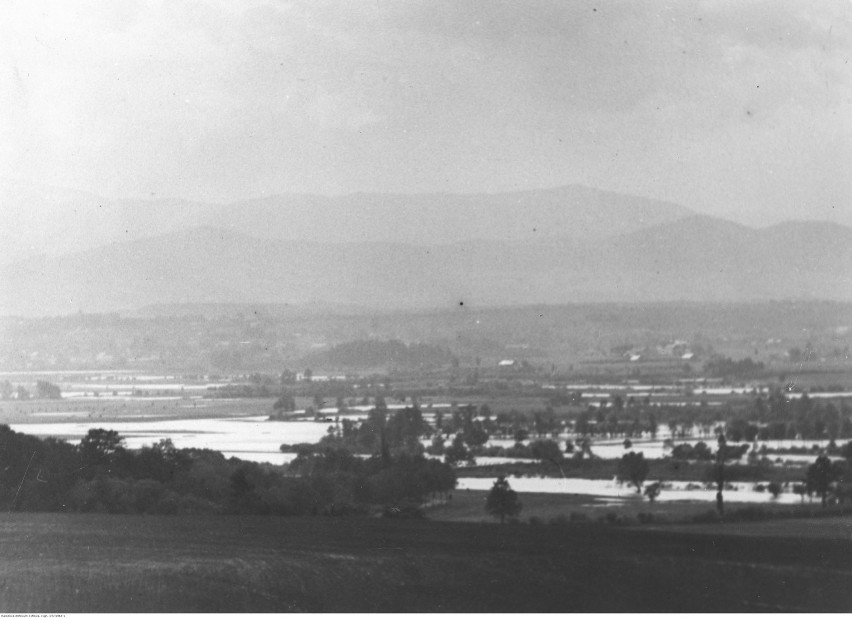 Panorama Wadowic, 1919-1939