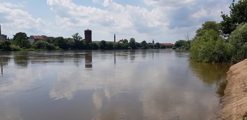 W Brzegu trwa wielka akcja odkomarzania. Potrwa tydzień 