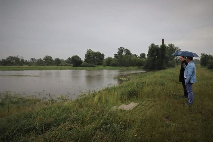 W Brzegu trwa wielka akcja odkomarzania. Potrwa tydzień 