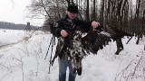 Ktoś zastrzelił niezwykle rzadkiego orła przedniego.