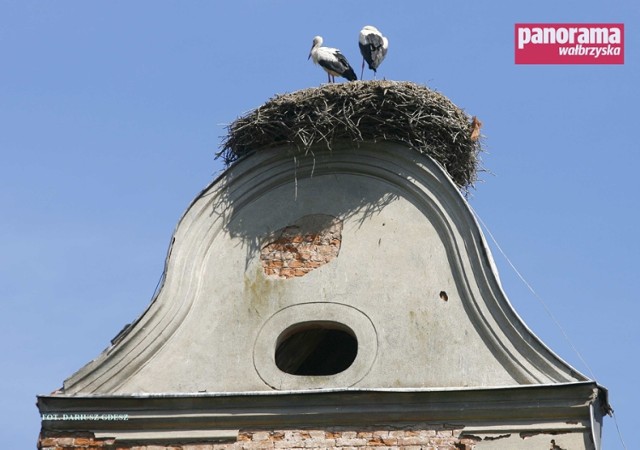 31 marca obchodzony jest Dzień Bociana Białego. Na zdjęciu para bocianów w gnieździe na pałacu w Sarnach w powiecie kłodzkim