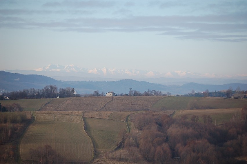 Widok na Tatry z miejscowości Zalasowa