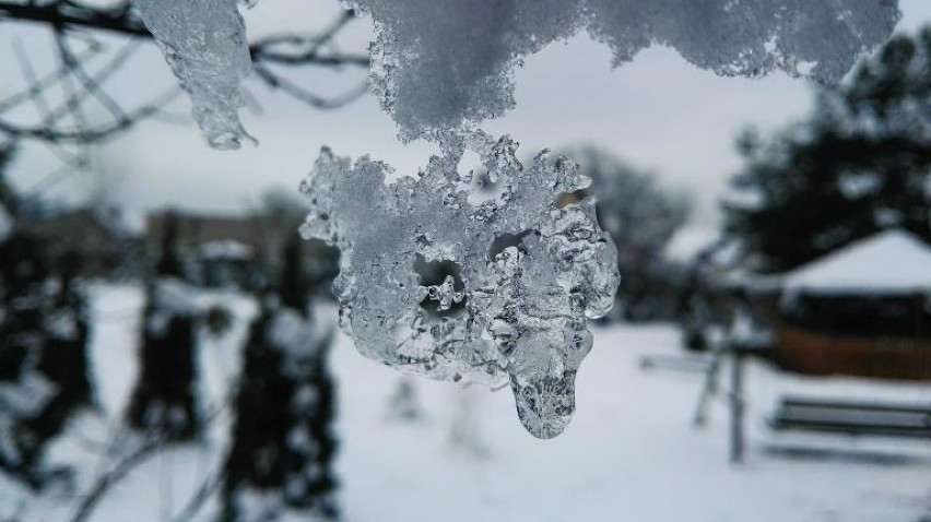 Hufiec Pracy 5-15 rozstrzygnął konkurs na  fotograficzny pejzaż zimowy