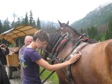 Tatry: konie do Morskiego Oka jeszcze pociągną