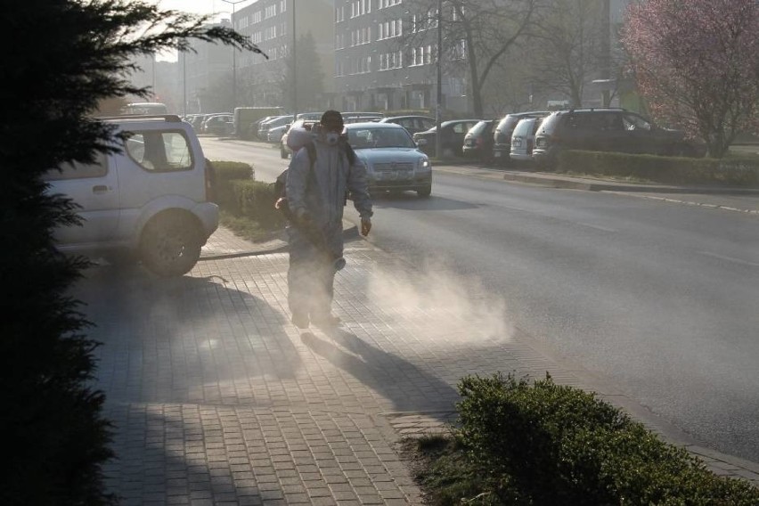 Wiosenna akcja dezynfekcji Golubia-Dobrzynia