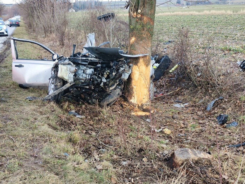 Tragiczny wypadek w województwie. 19-latek uderzył samochodem w drzewo i zginął na miejscu. Miał prawo jazdy od dwóch miesięcy