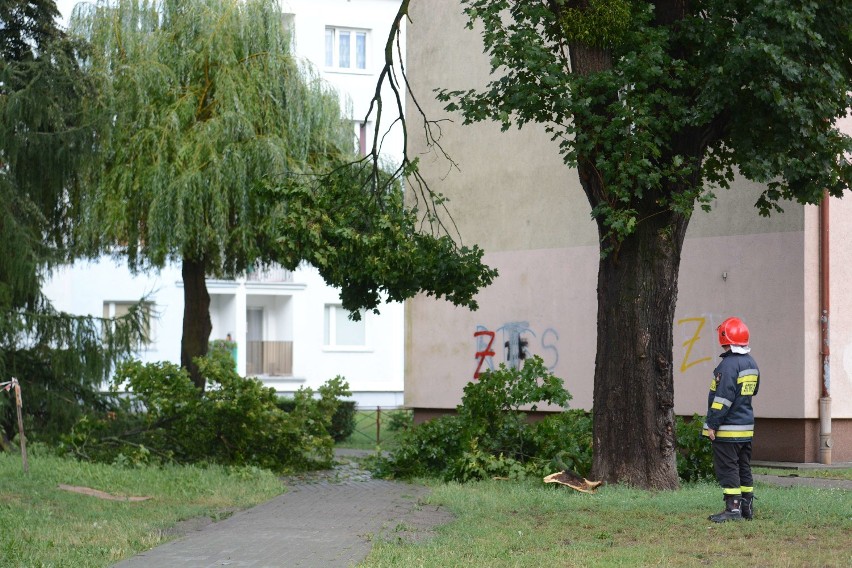 Porywisty wiatr wyrządził szkody w Grudziądzu. Strażacy mieli kilkanaście interwencji [wideo, zdjęcia]