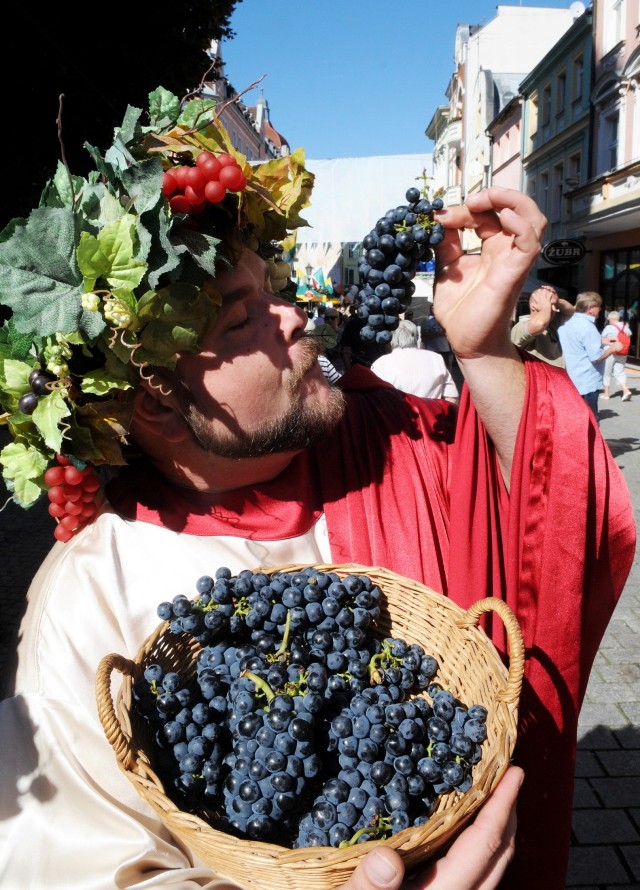 Winobranie 2018 odbywać się będzie w tym roku w dniach 8-16 września. Przez ten czas klucz do bram miasta zostanie przekazany Bachusowi. Ten Bóg Wina rządzić będzie Zieloną Górą. A jak pieczę nad miastem przejmie Bachus, to świetna zabawa jest gwarantowana! 

Zobacz, jak wyglądał korowód winobraniowy rok temu:


