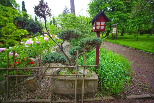 Ogórd botaniczny w Zabrzu wygląda niezwykle tajemniczo.



Zobacz kolejne zdjęcia. Przesuwaj zdjęcia w prawo - naciśnij strzałkę lub przycisk NASTĘPNE