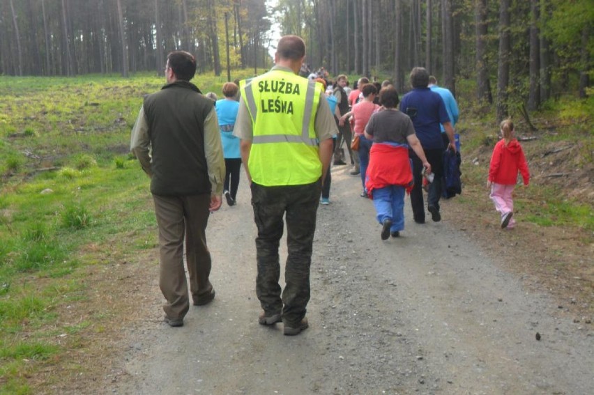Przedszkolacy z Margonina posadzili las