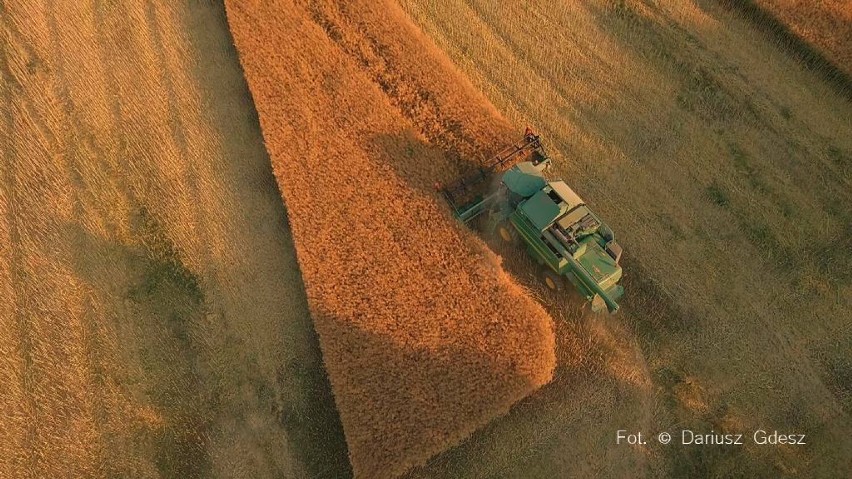 Na Dolnym Śląsku ruszyły żniwa. Kombajny będą pracować...