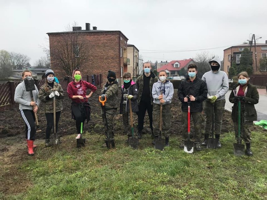 Z inicjatywy harcerzy z 40 RDW "Piorun" powstaje pierwsza w Radomsku łąka kwietna