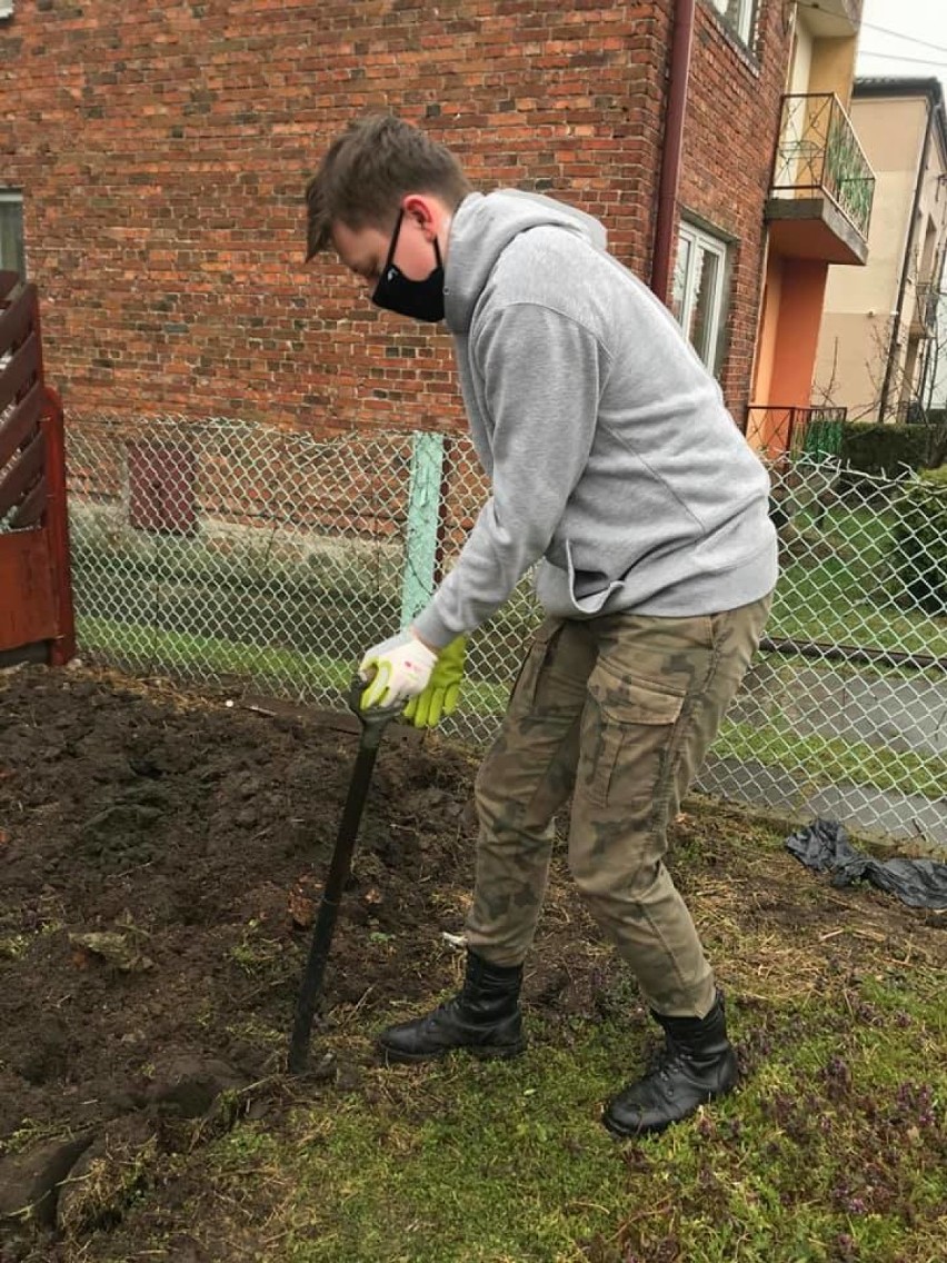 Z inicjatywy harcerzy z 40 RDW "Piorun" powstaje pierwsza w Radomsku łąka kwietna