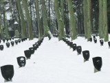 Przejęli cmentarz wojenny z 4 tysiącami grobów w Łężycach