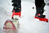 Skoki narciarskie w Lahti: 2.03.WYNIKI - Kamil Stoch pierwszy! 