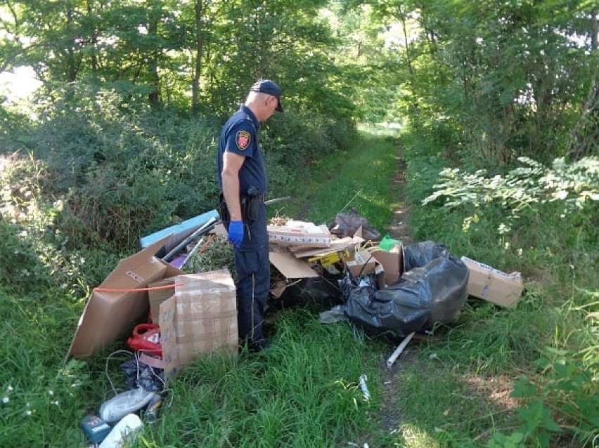 Podrzucił śmieci na polną drogę za Nysą. Z odpadami zostawił dokumenty z adresem