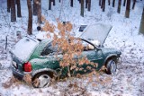 Śmiertelny wypadek pod Zbąszyniem [FOTO,VIDEO]