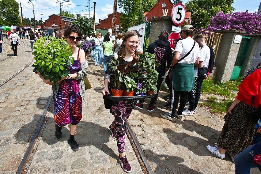 Mnóstwo ludzi na Festiwalu Roślin we Wrocławiu. Co i za ile można kupić na kiermaszu [ZDJĘCIA]
