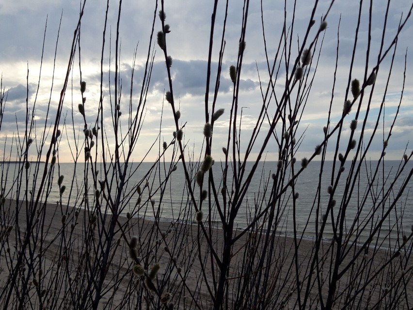 Wielkanocne klimaty pojawiły się na plaży w Kołobrzegu