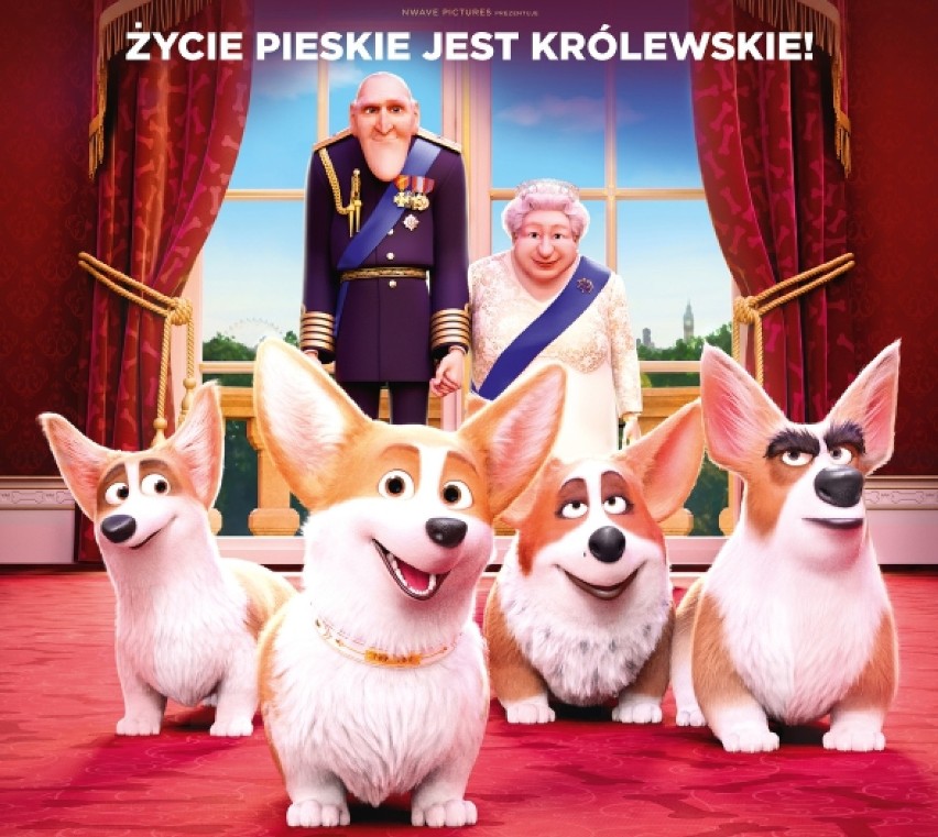 "Corgi, pies królowej", to komedia animowana o iście królewskim życiu pewnego psa