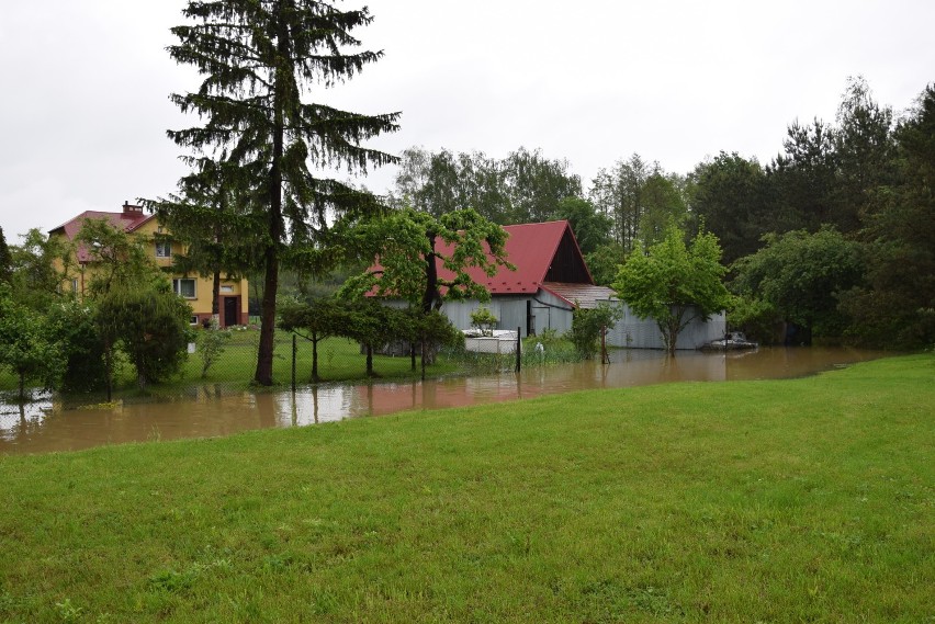 Łęg Tarnowski. Mieszkańcom woda wlewa się na podwórka i wchodzi do domów