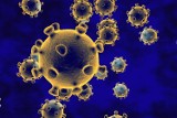 Infekcja wieloma szczepami koronawirusa naraz – to możliwe! U pacjentów wykrywa się nawet kilkanaście wariantów SARS-CoV-2!