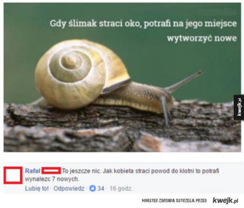 Najlepsze memy o ślimakach. Oglądajcie bardzo powoli! [GALERIA MEMÓW]