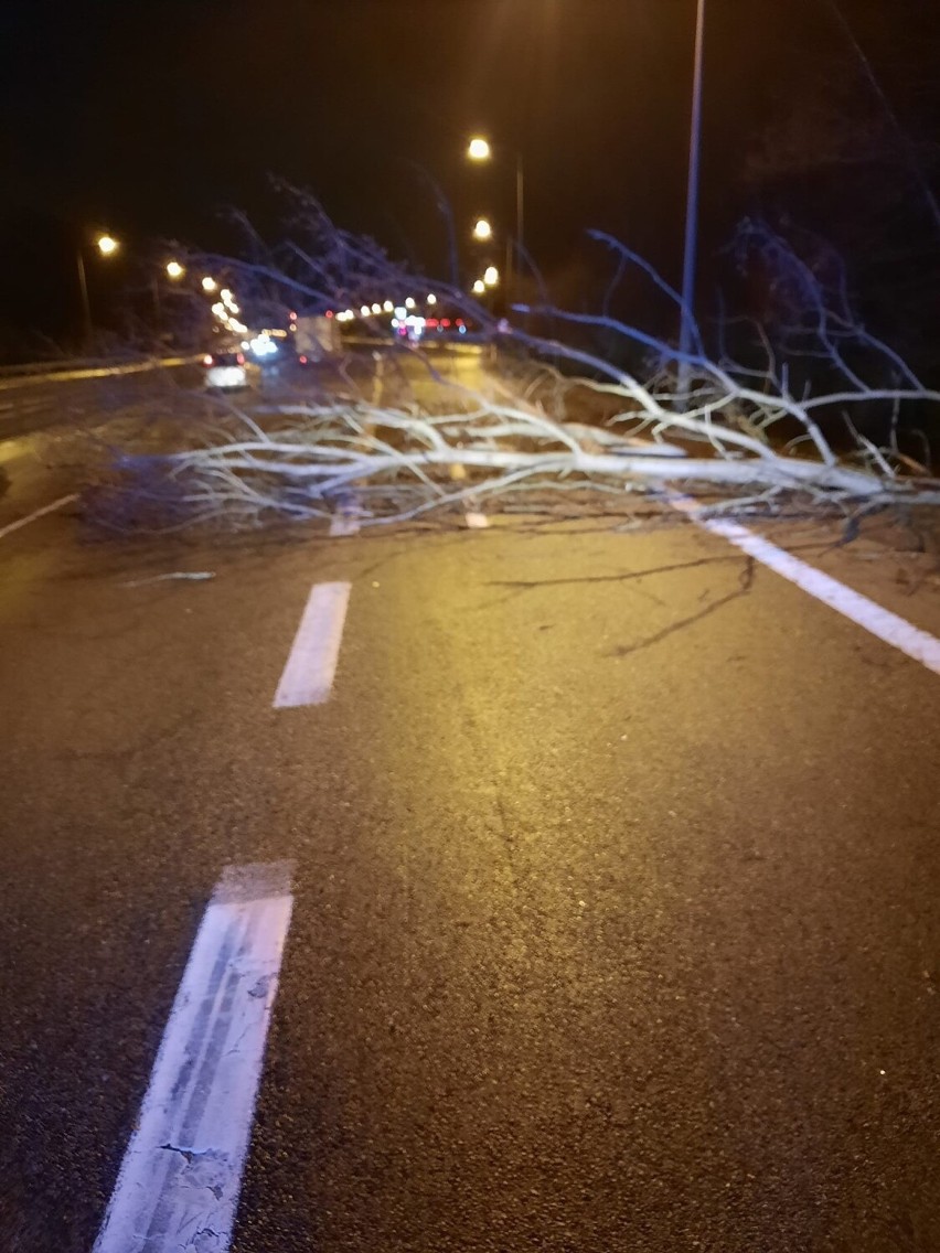 Wichura w Gdyni dała się w trzech ostatnich dniach we znaki. Połamane drzewa, zerwane dachy. Strażacy mieli mnóstwo pracy. ZDJĘCIA