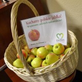 Jedz jabłka w Radlinie: owoce możesz odebrać w magistracie