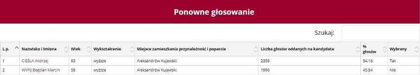 Wybory Samorządowe 2018. Znamy wyniki wyborów. PKW na swojej...