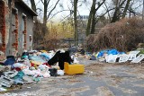 Mieszkańcy apelują: Trzeba posprzątać sterty śmieci w Oliwie!