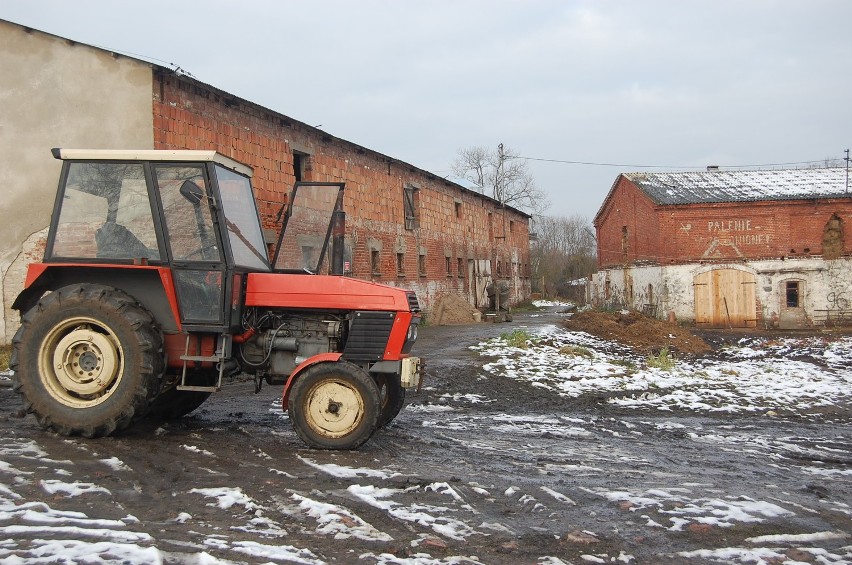 Nie chcą we wsi świniarni. Protest mieszkańców Mikorowa